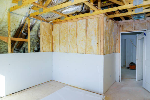 Best Attic Insulation Near Me  in Kinston, NC