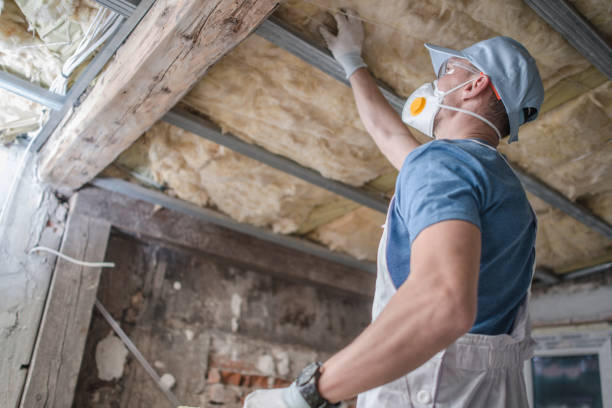 Best Spray Foam Insulation  in Kinston, NC