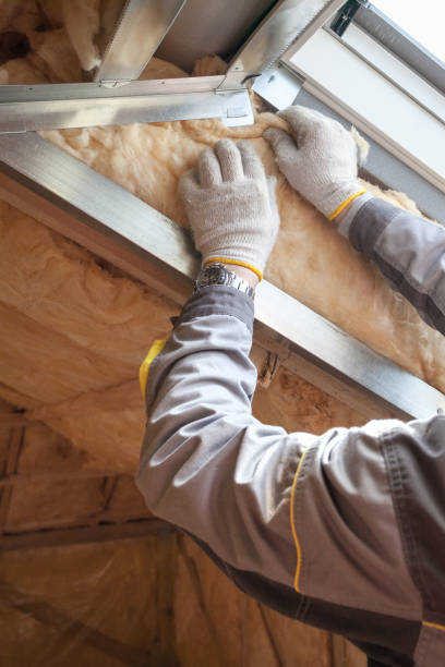 Best Attic Insulation Installation  in Kinston, NC