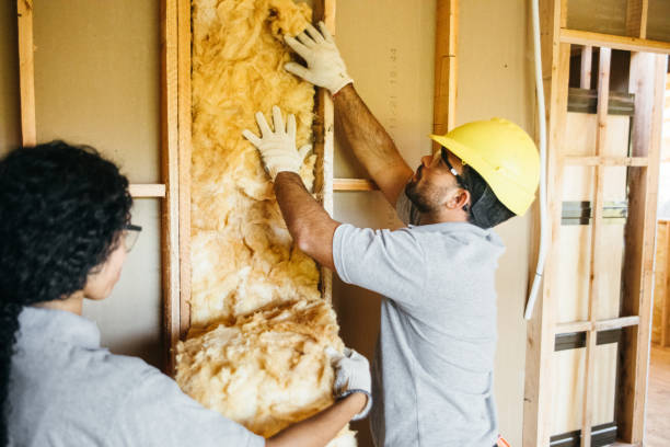 Best Commercial Insulation Contractor  in Kinston, NC