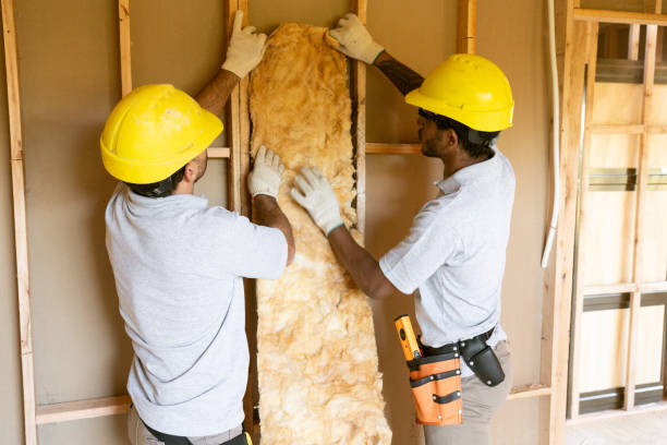 Best Garage Insulation Installation  in Kinston, NC