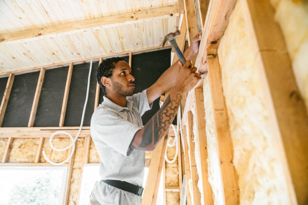 Best Professional Insulation Contractor  in Kinston, NC