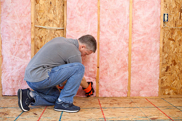 Best Crawl Space Insulation  in Kinston, NC