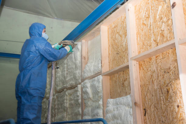 Best Insulation Replacement Services  in Kinston, NC