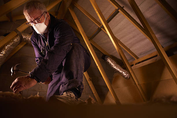 Best Insulation Contractors for Homes  in Kinston, NC