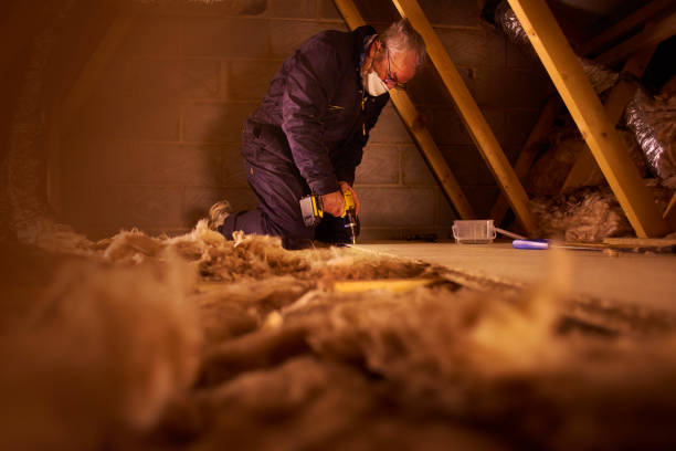 Insulation Repair Services in Kinston, NC
