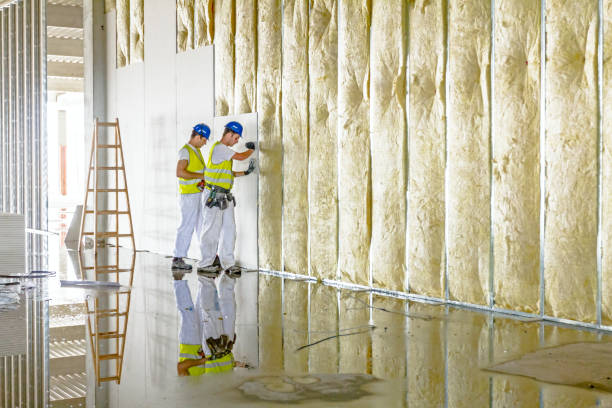Best Local Insulation Services  in Kinston, NC